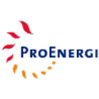 pt pro energi